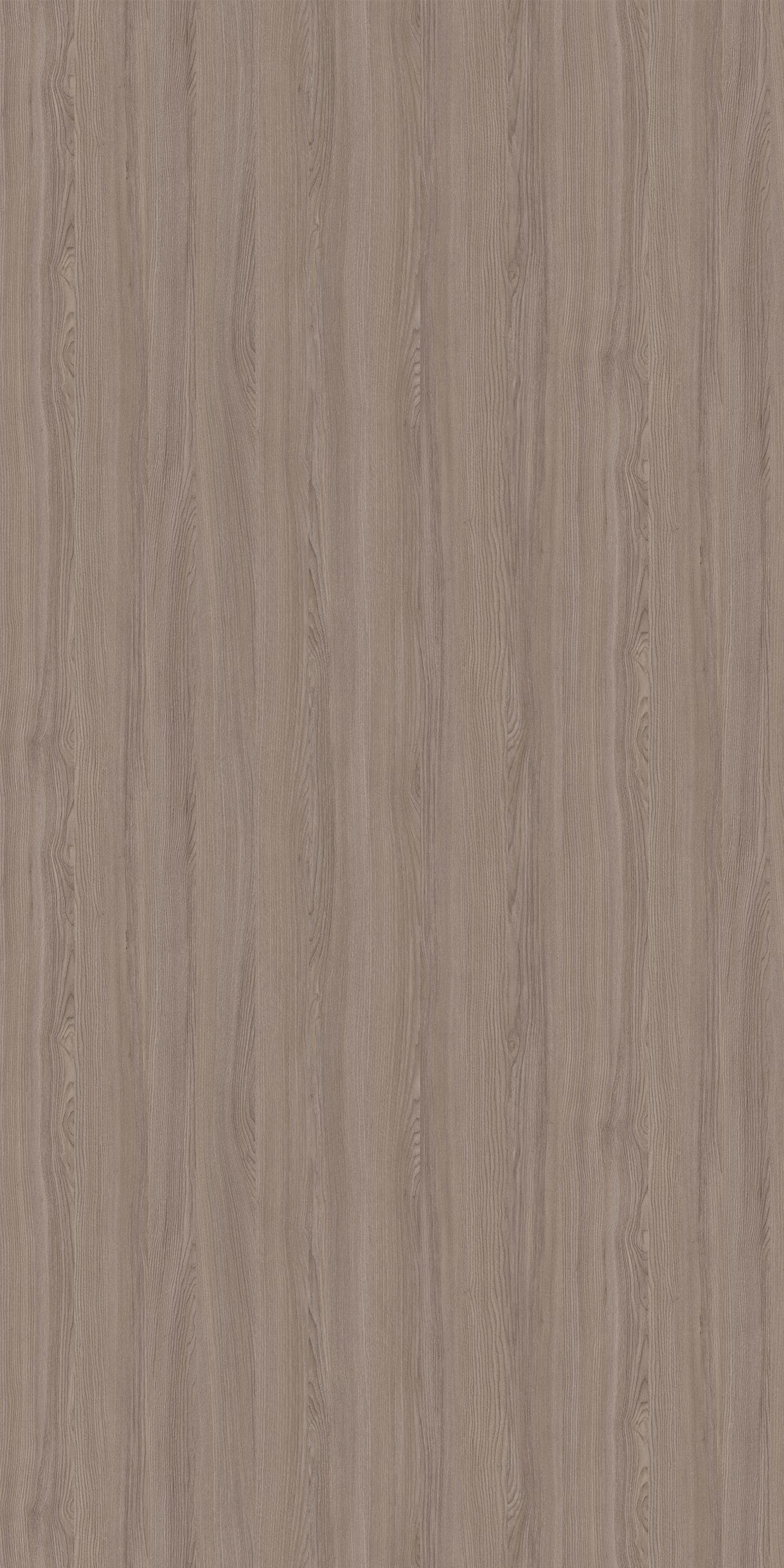 6S197